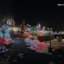 대명노르웨이숲 이미지