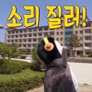 (주)스마일