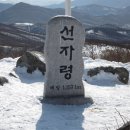 신영길 8-3 이미지