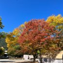 유명산밸리 캠핑장 이미지