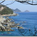 영덕 물가자미 전문점 이미지