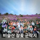 테크니카 HIKE10 4월 정기산행 | 대구 비슬산 일출 산행 | 참꽃군락지