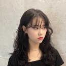 여기;잘헤어 이미지