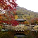 백양사 쌍계루 이미지