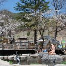 민들레울 이미지