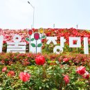 큐피드 푸드트럭 이미지