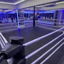 신종훈 국가대표 복싱센터 이미지