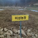 울안농장 이미지