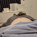 발산세탁소 | 마곡 발산 살루스테라피 산전마사지 산후마사지 가격 후기