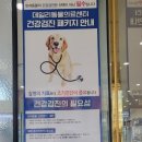 정직한 동물병원 이미지