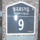 불광로 이미지