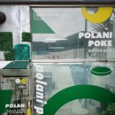 폴라니포케 정관점 | [폴라니포케 정관점]다이어터들 모여라 샐러드 정관맛집