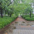 산운로160번길 이미지