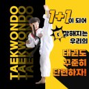 KAT태권도 이미지