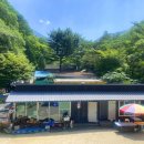 희여울과 꽃나예 이미지