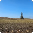 강물소리식당 | 일본 삿포로 여행 : 삿포로 비에이 투어 완벽 가이드 코스별 상세 주소 번호·시간 &amp; 솔직한 반전 후기