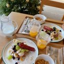 스테이플레도(Stay Pledo) 이미지