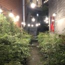 림유 | [성수동 타이거풀] 성수동 핫플 타이거풀 레스토랑에서 생일파티