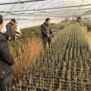 명자농장 이미지