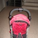 파코라반베이비 이미지