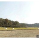 평택토지공인중개사사무소 이미지