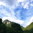 추석 일상[장성 백양사, 옥상바베큐파티, 한라봉오렌지케이크 후기]