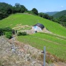 남안성IC주유소 이미지