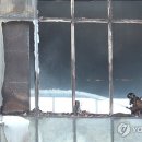 부산 이미지