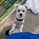 중흥로 이미지