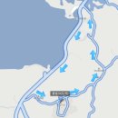 제주코기네 이미지