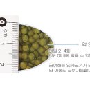 코이푸드 이미지