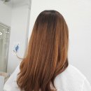 트리드헤어