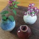 꽃다지 맞은편 이미지