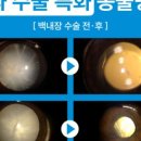 야옹동물병원 이미지