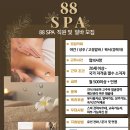 🔶️강남🔶️ 88SPA에서 토일 여 관리사님를 구인합니다(협의사항 최대한 맞춰드려요) 이미지