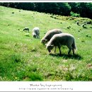 케논목장 이미지