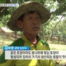 공주알밤농원 - 공주시 의당로 1275-4 | 공주알밤농원