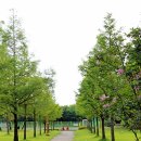 을미기식당 네이버블로그