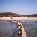 백화사현상소