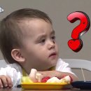 발리에서생긴일 | [인도네시아] 발리에서 생긴 일
