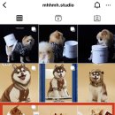 므므스튜디오 이미지