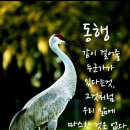 「삶의 지혜」 因緣.인연의 참 뜻 이미지