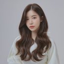 플랜티플라워