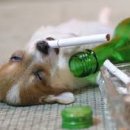 한수 소프트 이미지