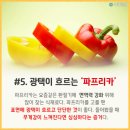 싱싱채소과일