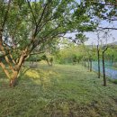 창현농장 이미지