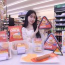 신세계여행개발㈜ 이미지