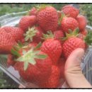 청도농협화양지점 이미지