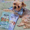 포포(For paw) | 신상 강아지 간식 저칼로리 영양간식 포포스틱