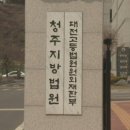 전 여자친구 반려묘 세탁기에 돌려 죽인 20대 집행유예 이미지